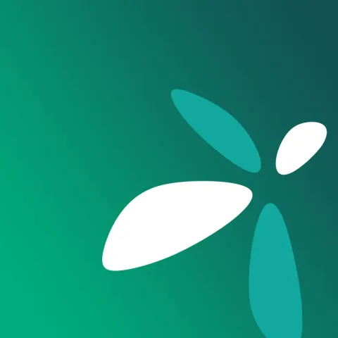 panama city branding
