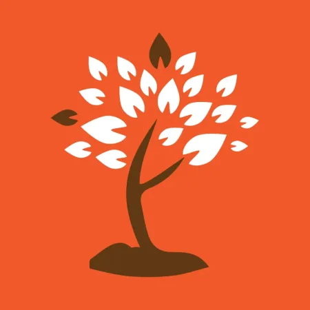 panama city branding