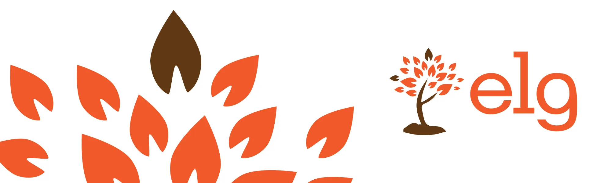 panama city branding