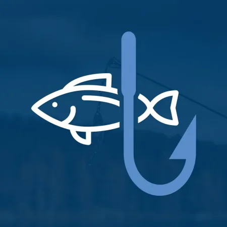 panama city branding