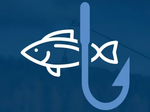panama city branding